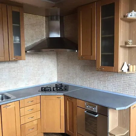 Stylish Deluxe Apartments!!! Daire Lviv